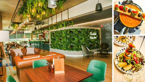 Occidente bar bistro and food