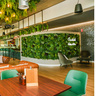 Occidente bar bistro and food