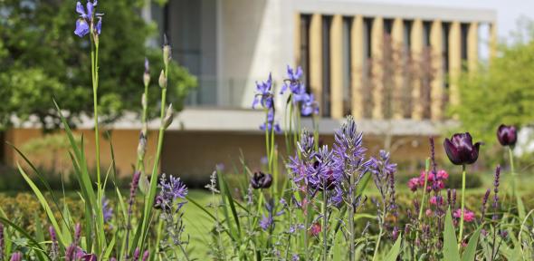 Sainsbury Laboratory Sainsbury Laboratory